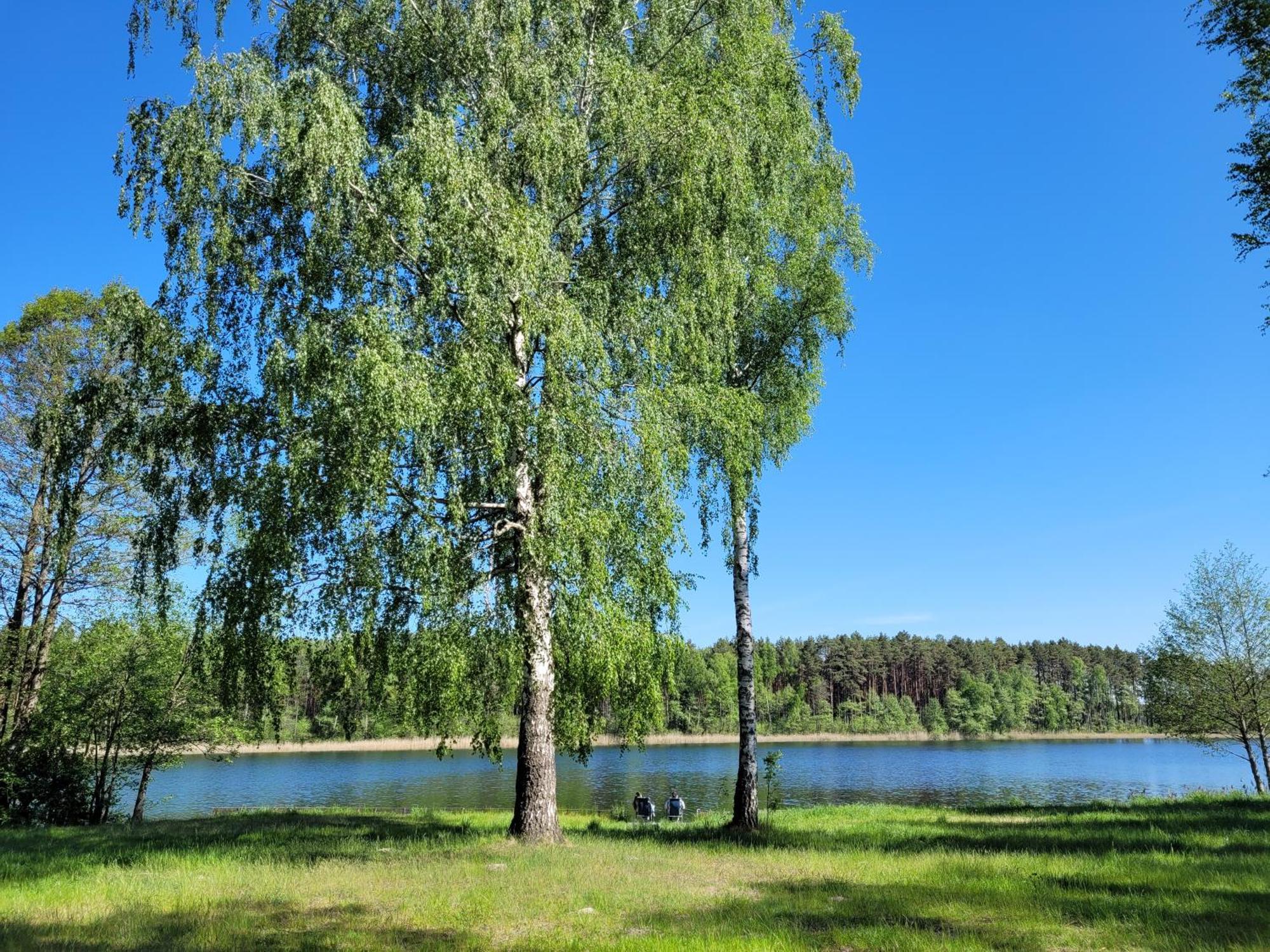 Отель Osrodek Wypoczynkowy Zacisze Sliwice Экстерьер фото